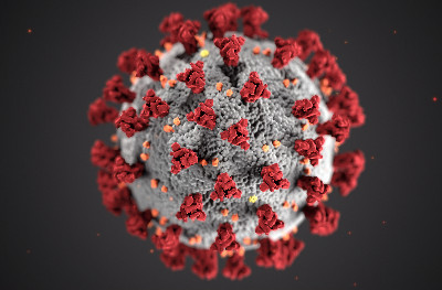 blog-article_coronavirus-preview